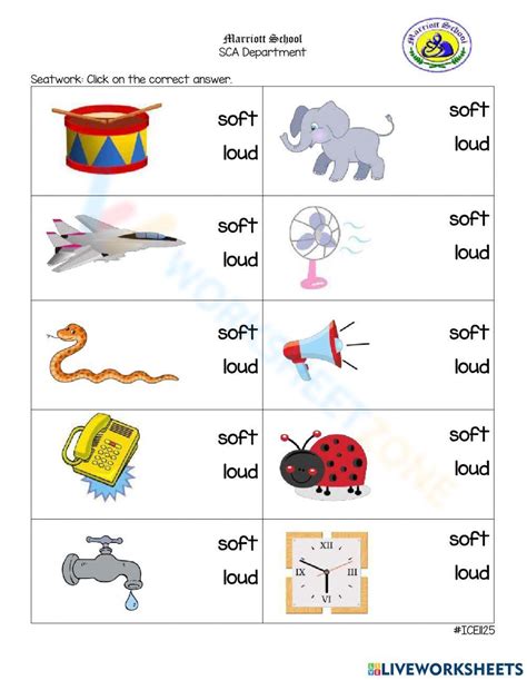 loud soft tests|loud or soft sound.